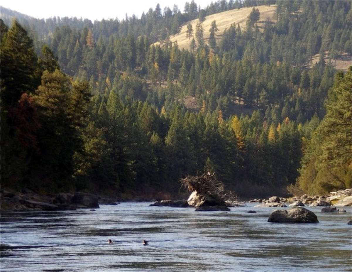 The Blackfoot River, where Norman Maclean fished and found inspiration