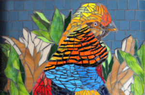 "Golden Pheasant" by Patty Franklin