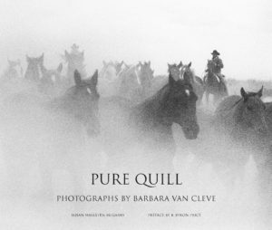Pure Quill by Barbara Van Cleve