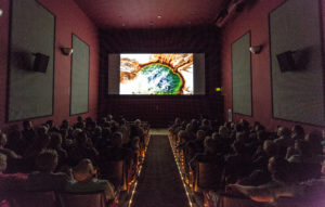 IWFF: "Yellowstone"
