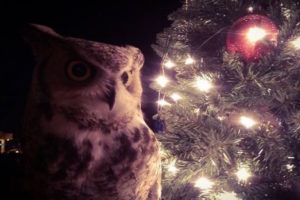 The Zoo Owl inspects ZooLights, open 6-9 p.m. Fridays and Saturdays, Dec. 6-14, and nightly, Dec. 18-24.