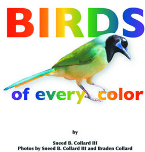 Birds of Every Color, takes a whimsical yet fascinating look at a little-known topic, the colors of birds.