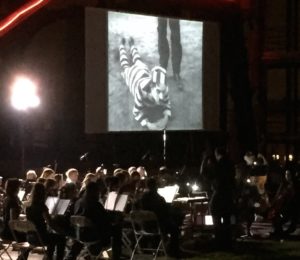 Charlie Chaplin, Buster Keaton and KoKo the Clown come to life, as the Butte Symphony gives voice to their silent films. 