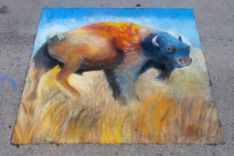 Tom Lewis painted a buffalo. 