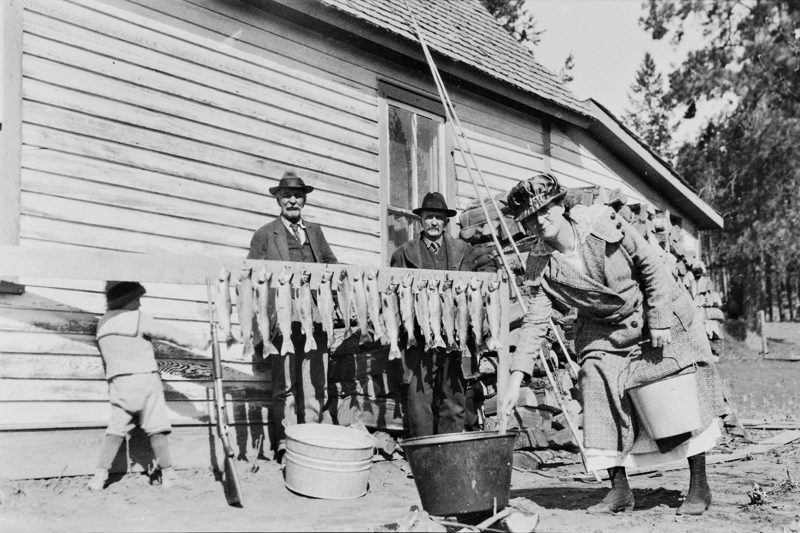 Fish galore in this image of an early trout catch near Bigfork. 