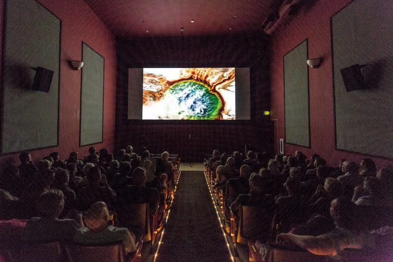 The International Wildlife Film Festival showcases groundbreaking and inspirational films from around the world. 
