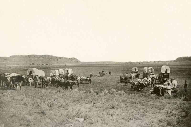 Freighter's outfit near Billings and Coulson, 1882.