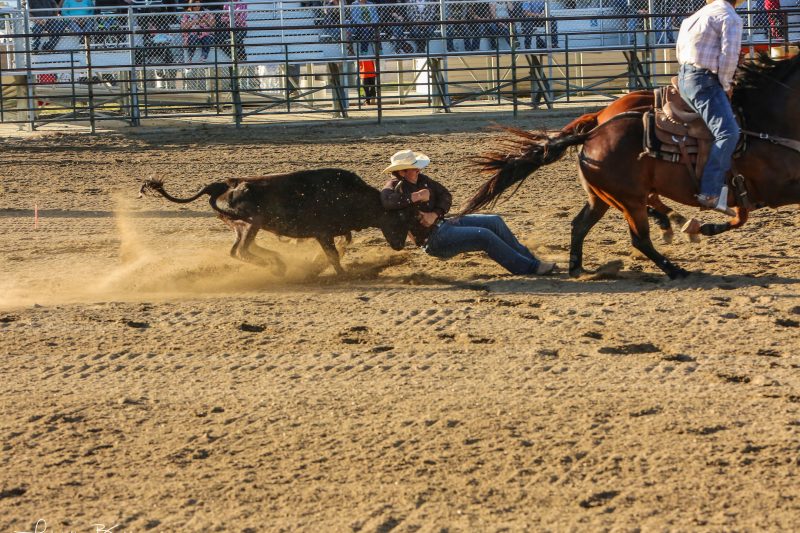 Steer wrestling is among the events at the 96th annual Big Timber Rodeo.