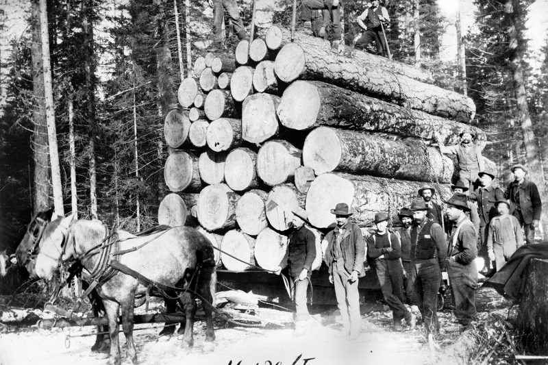 The Baker brothers hauled 16,130 feet of logs with a single team, March 17, 1900.