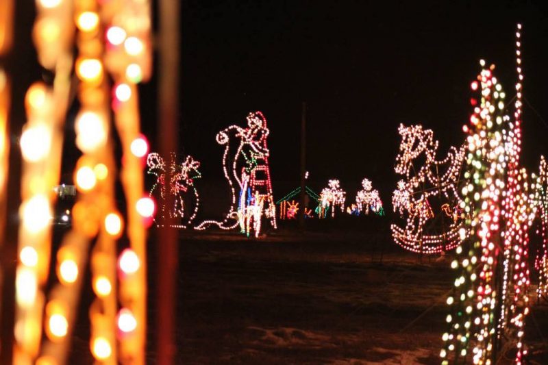 Take a drive on the wild side with ZooMontana's annual holiday light display. 