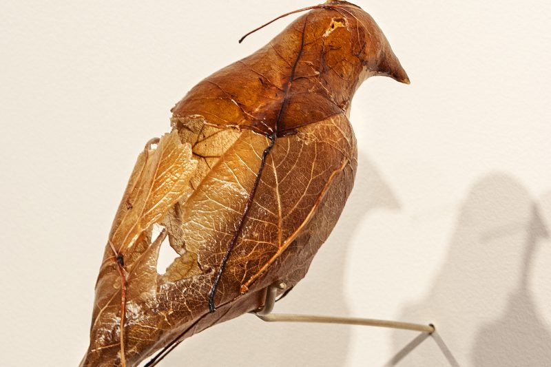 Shill/Shell by Tracy Linder is made of cottonwood leaves, resin and brass rod.