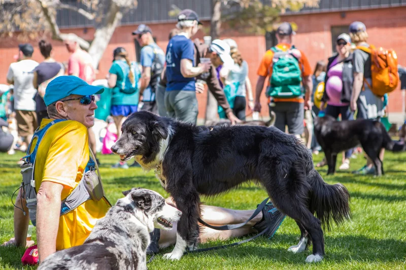Dogs are welcome at the 5K dog walk and After Party in Pioneer Park. 