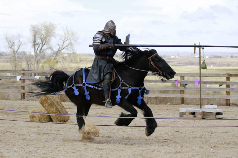 Knights of the Order of Epona head into battle at the Montana Renaissance Festival. 