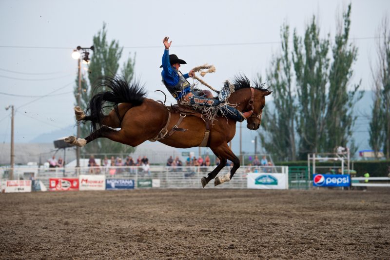 Rusty Wright on Believe Me of Kesler Pro Rodeo at Northwest Montana Fair and  Rodeo Kalispell in 2018.  