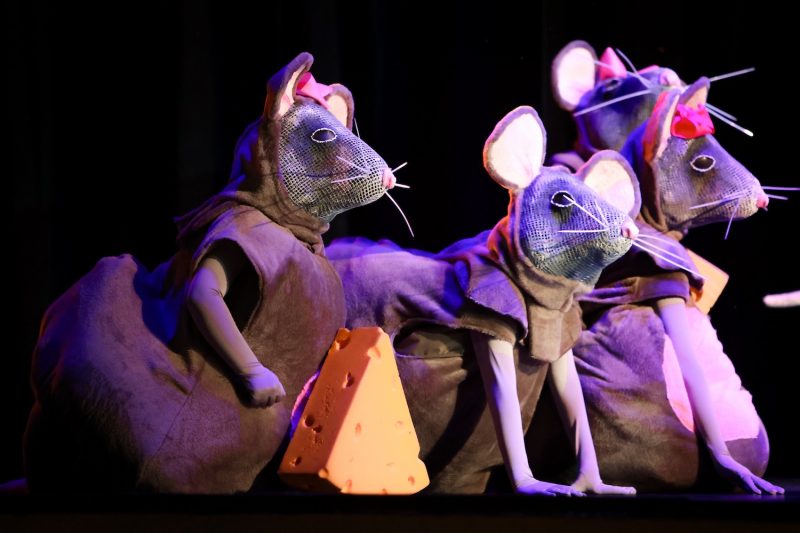 Those clever mice return for Montana Ballet Company's Nutcracker.