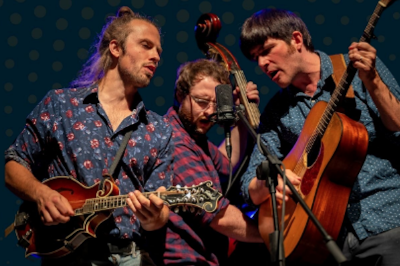 Bluegrass Virtuoso Jacob Jolliff Band Lights Up The Myrna Loy