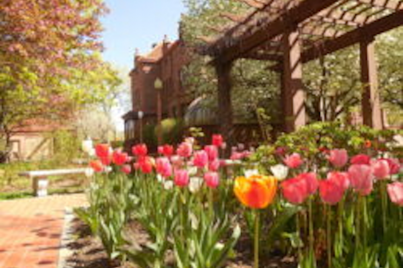 SpringFest Returns to Moss Mansion for Summer Fun