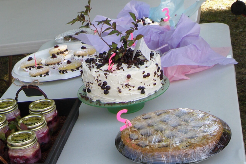 Swan Lake Huckleberry Festival Marks 44 Years of Summer Fun!