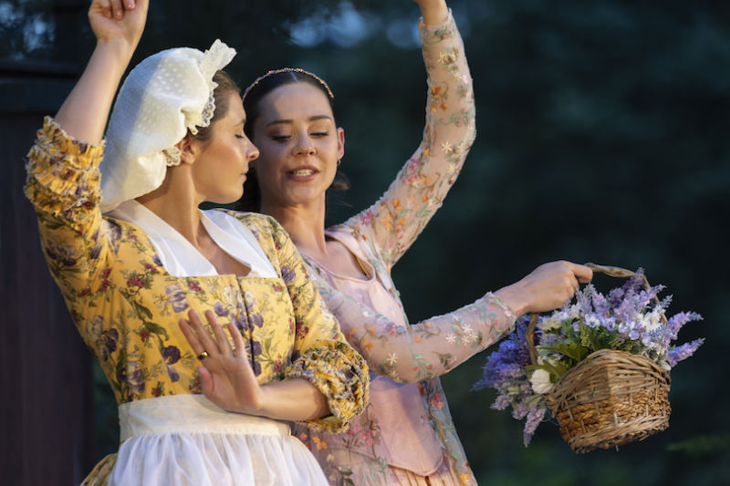 Montana Shakespeare in the Parks Takes Center Stage in 2026!